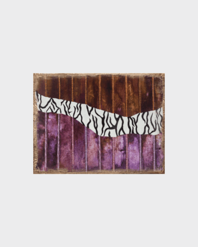 Schickes Zebra